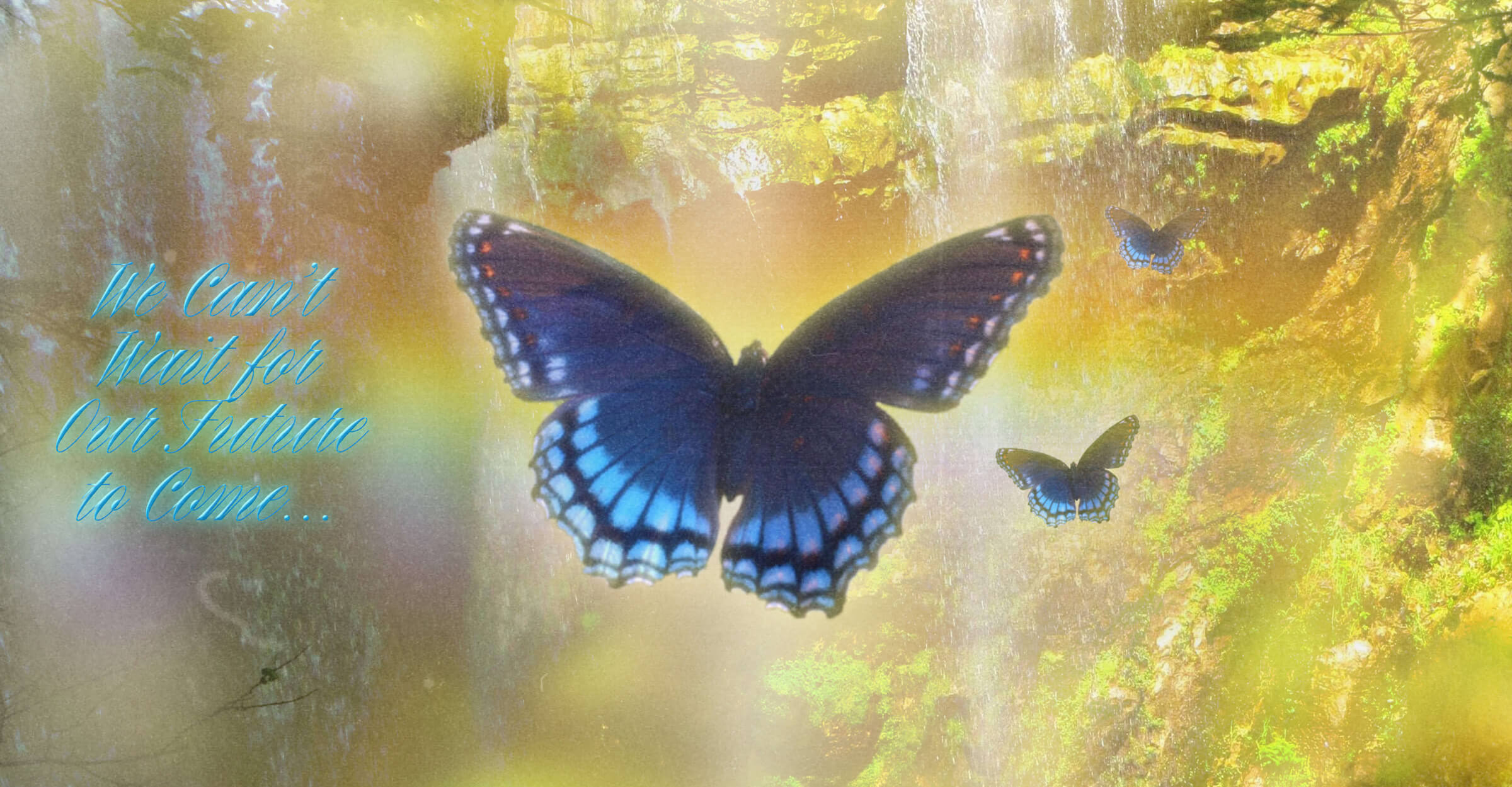 blue butterflies floating